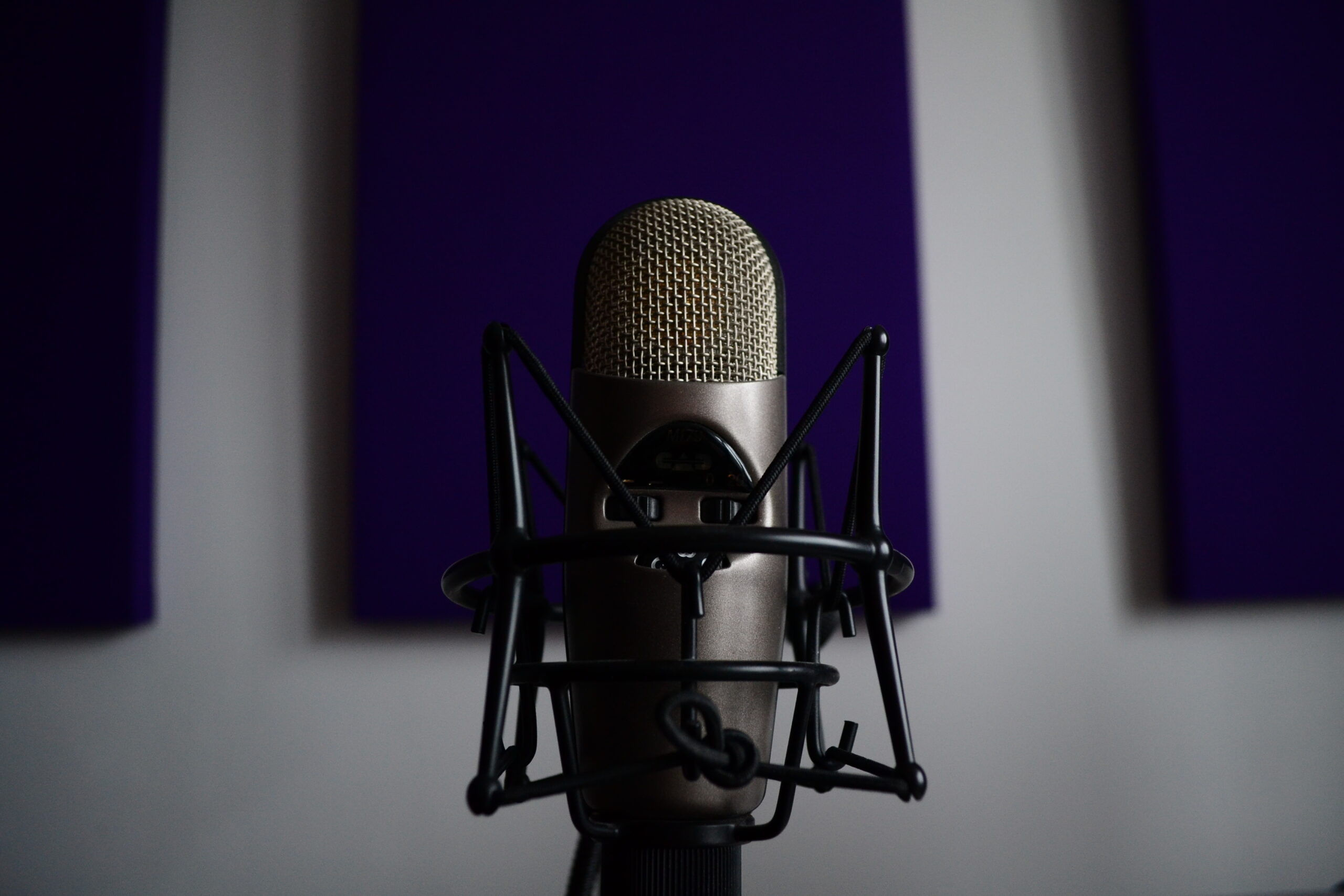 Микрофон для записи голоса